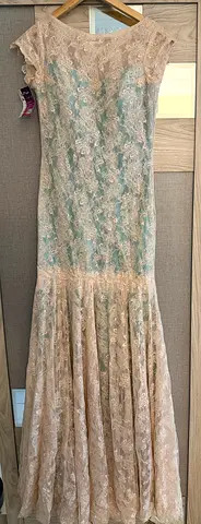 Elegant Lace Evening Dress