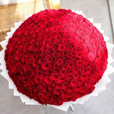 365 Red Roses Bouquet  Luxury Valentine’s Day Flowers