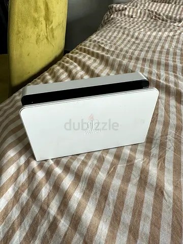 Nintendo switch charger