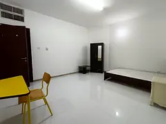 Luxurious Full Furnished  Regular Room for professional executive/ Family Couple