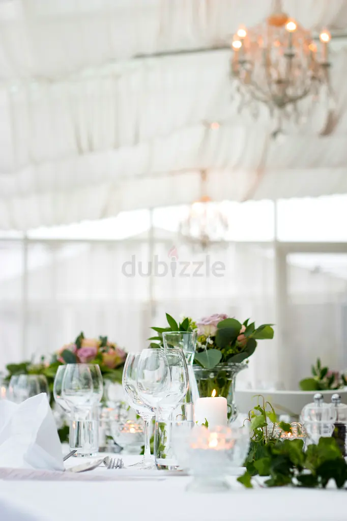 DPV_View_Image_4