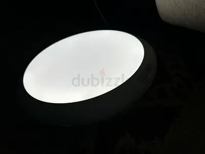 Sleek Round Ceiling LED Light