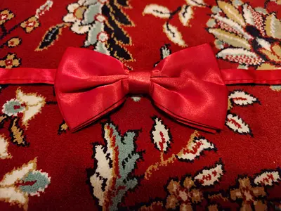 URGENT SALE: Red Bow Tie
