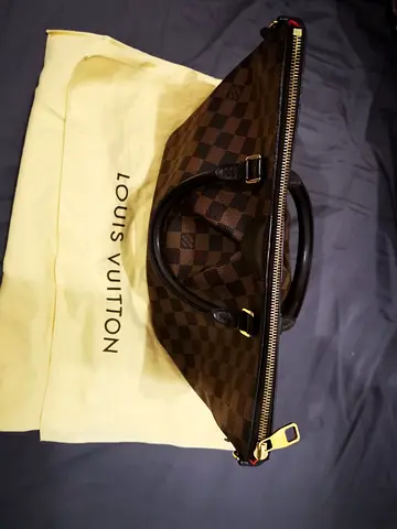 Authentic Louis Vuitton Handbag with Dust Bag