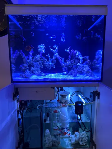 Saltwater/ marine Setup for Sale