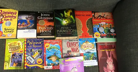 Diverse Collection of Childrens and Fiction Books