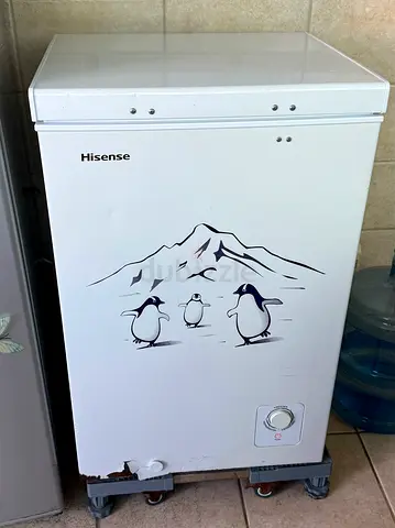 Hisense Freezer with Fun Penguin Design