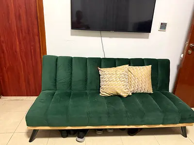 Comfortable Green Sofa Bed with Decorative Cushions