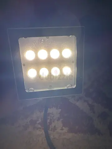 Modern Ceiling Light Fixture with LED Bulbs