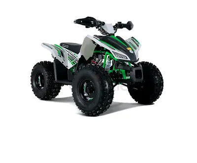 125 CC Fully Automatic ATV QUAD BIKE For Teens and adults With Reverse