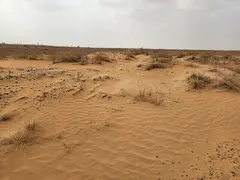 For sale Industrial plot freehold for Arab nationalities and Lease hold for expat Al Arqoub – Shar