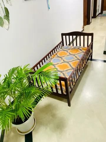 Baby cot toddler