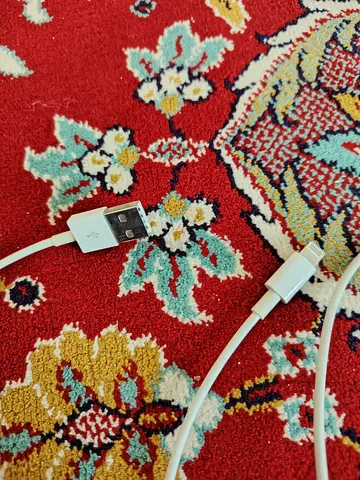 URGENT SALE: Apple Charger