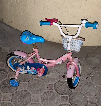 Cute Pink Princess Bicycle for Kids