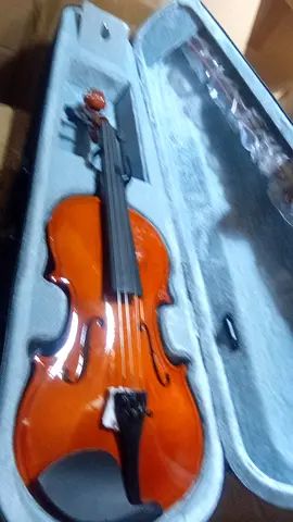 Beautiful Acoustic Violin with Case