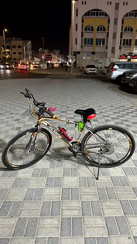 Well-Maintained Mountain Bike for Sale