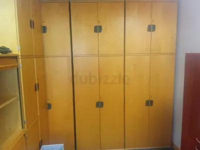 Spacious Wooden Cabinet for Files storage