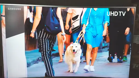 Samsung 49 MU6670 Curved Active Crystal Colour Ultra HD HDR Smart TV