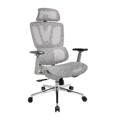 Ergonomic mesh chair