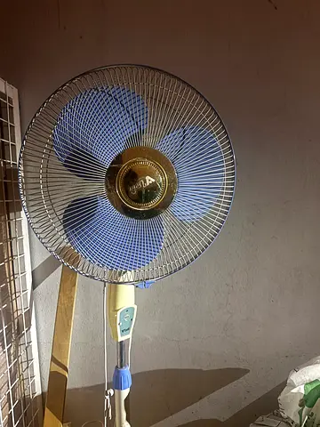 Stand Fan