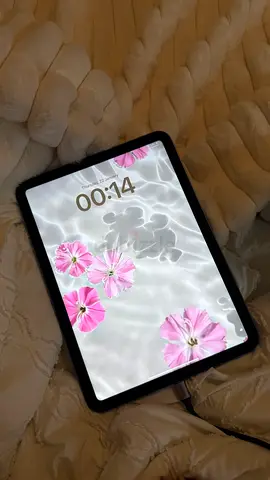 Ipad 10th generation