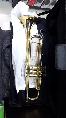 Professional Baritone Horn with Case