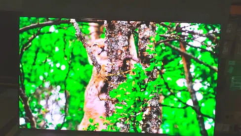 Samsung 55 Inch OLED S95B 144Hz 4K Tizen OS Smart TV 2024 Model 55S95B