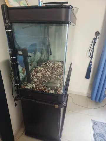 Elegant Aquarium with Stand