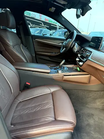 2020 BMW 5-SERIES 缩略图 9