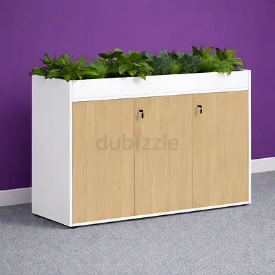 Low Height Storage Cabinet Custom Made