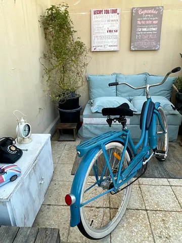 Retro Schwinn Ladies Cruiser