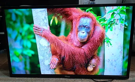 Smart Android 4K LED 32 inches