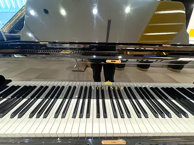 Steiner HG-168E Black