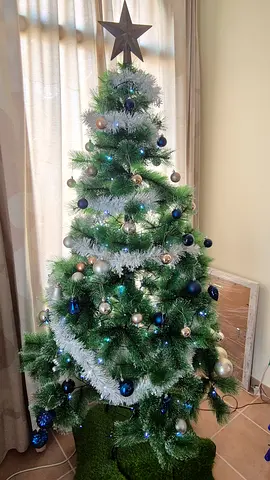 Stunning Festive Christmas combo!!