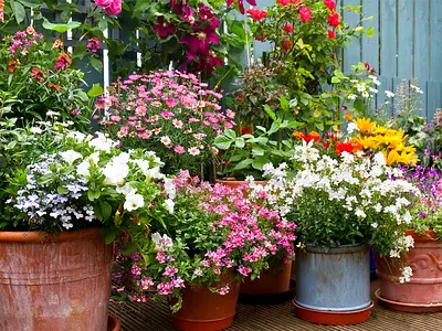 Gardening services