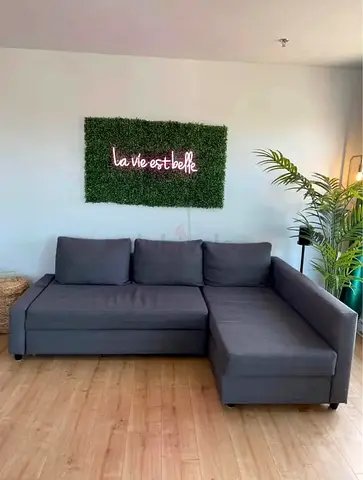 Comfortable Gray Sectional Sofa bed with storage