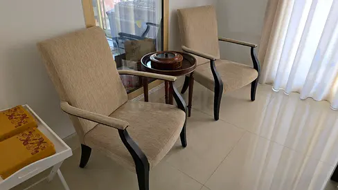 Elegant Armchairs Set of 2