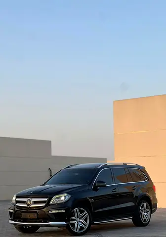 2015 Mercedes-BENZ GL 照片 3