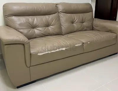 Get Sofa free with Dining table set
