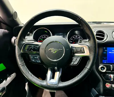 2022 FORD MUSTANG 照片 14