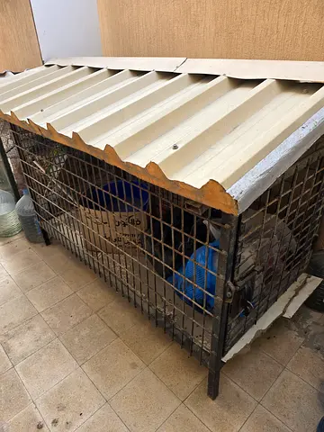 Sturdy Pet Cage for Sale