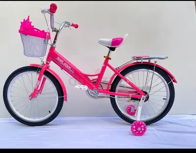 Girls Bicycle 20 - Brand New