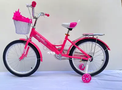Girls Bicycle 16 - Brand New