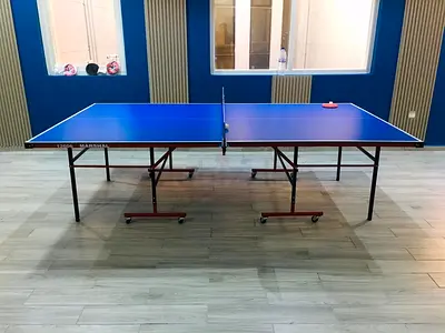 Table Tennis Table Ping Pong Table Foldable-Indoor with Post and Net