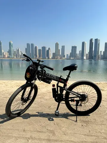 Sleek Mountain Bike Ready for Adventure