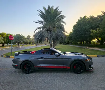 صورة 10 لـ 2023 FORD MUSTANG