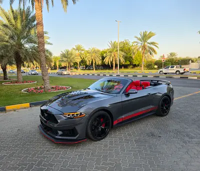 صورة 11 لـ 2023 FORD MUSTANG