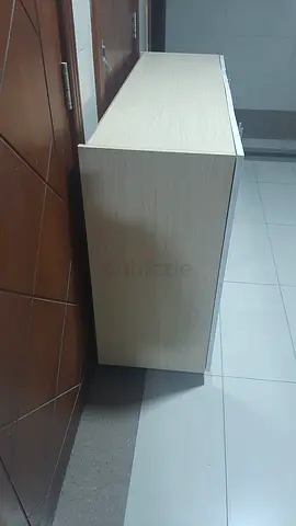Modern Low Profile Storage Cabinet