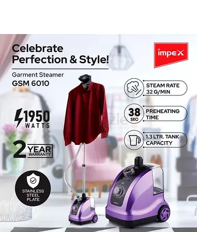 Impex Steam Iron with Stainless Steel Plate