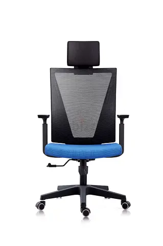 Ergonomic Office Chair with Adjustable Headrest